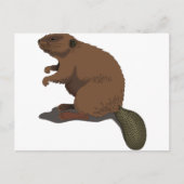 Carte Postale Beaver (Devant)