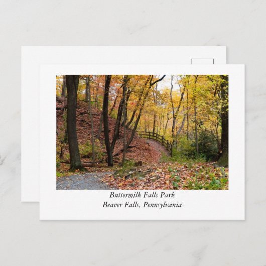 Carte Postale Beaver Falls Pennsylvanie (Devant / Derrière)