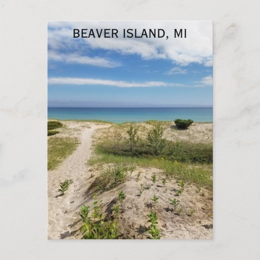 Carte Postale Beaver Island Michigan Beach Travel (Devant)