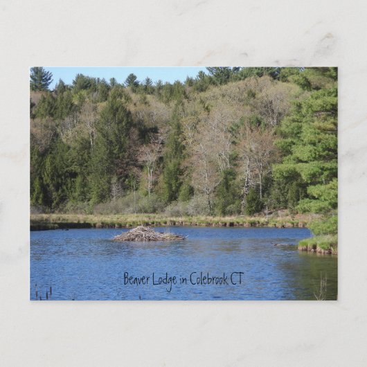 Carte Postale Beaver Lodge à COLEBROOK, CT (Devant)