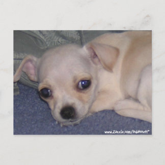 Carte postale bébé.