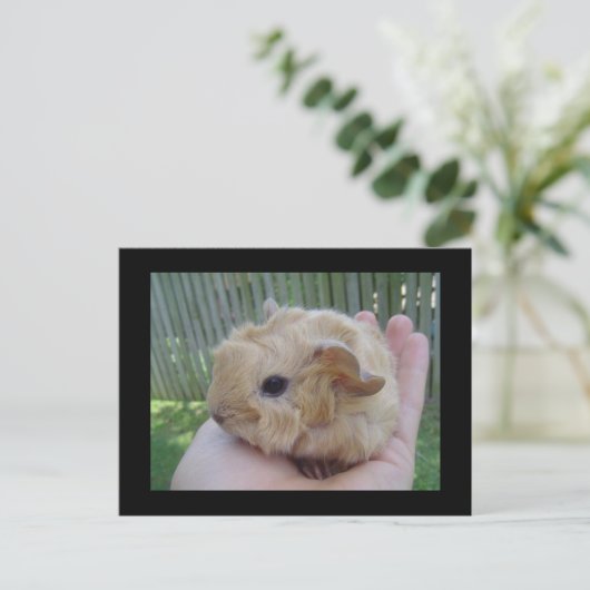 Carte Postale bébé (Debout devant)