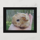 Carte Postale bébé (Devant)