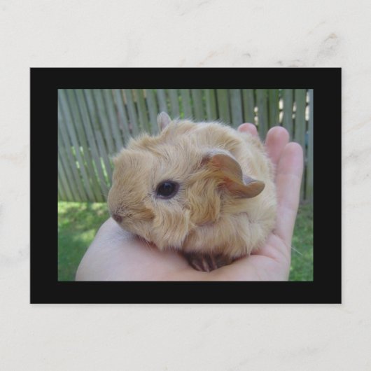 Carte Postale bébé (Devant)