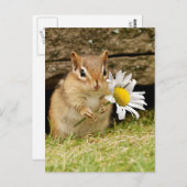 Carte Postale Bébé adorable Chipmunk avec marguerite (Devant / Derrière)