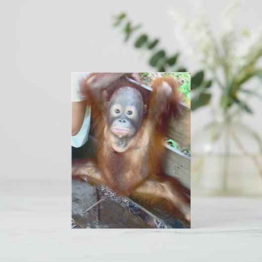 Carte Postale Bébé animal Accident de potty (Debout devant)