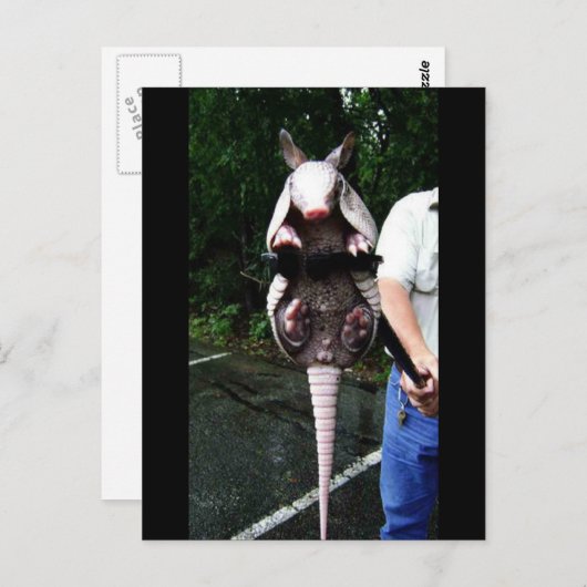 Carte Postale Bébé Armadillo Dans Une Légette (Devant / Derrière)