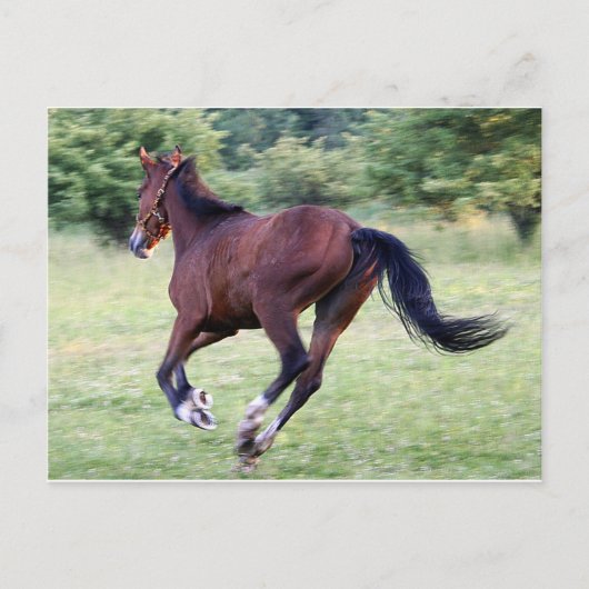 Carte Postale bébé baie (Devant)