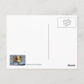 Carte postale Bébé Canard (Dos)