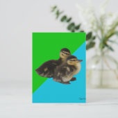 Carte Postale Bébé Canards sur Grass Green et Sky Blue (Debout devant)