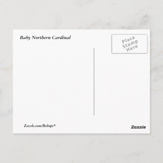 Carte Postale Bébé Cardinal (Dos)