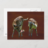 Carte Postale Bébé Cerf et papillon (Devant / Derrière)