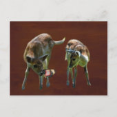 Carte Postale Bébé Cerf et papillon (Devant)