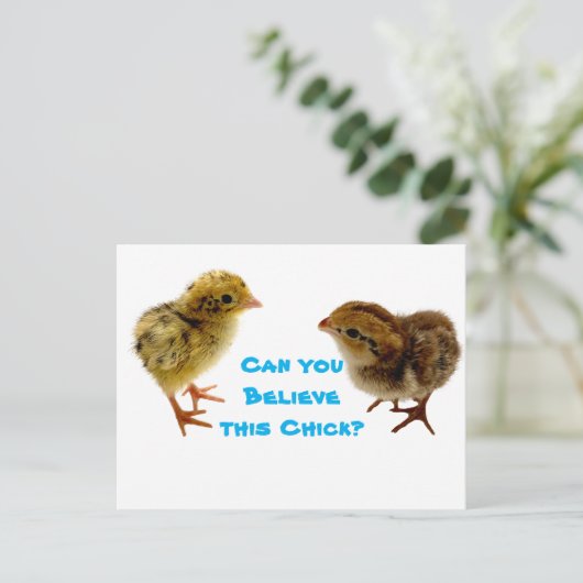 Carte Postale Bébé Chick Quail (Debout devant)
