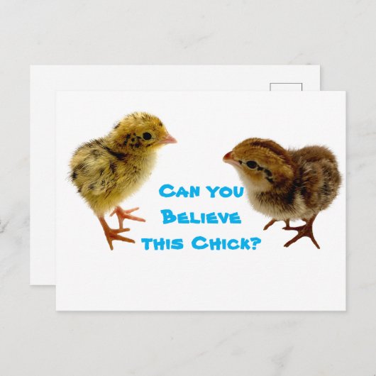 Carte Postale Bébé Chick Quail (Devant / Derrière)