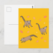 Carte Postale Bébé Coatis (Devant / Derrière)