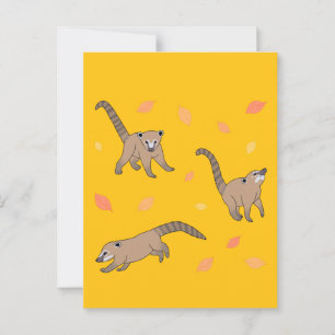 Carte Postale Bébé Coatis