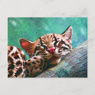 Carte Postale Bébé dormant mignon Ocelot Kitten
