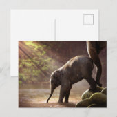 Carte Postale Bébé Eléphant Eau Potable Photo (Devant / Derrière)