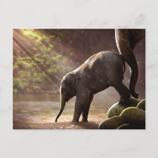 Carte Postale Bébé Eléphant Eau Potable Photo (Devant)