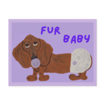 Bébé Fourrure Chien Teckel