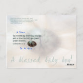 Carte Postale Bébé garçon (Dos)