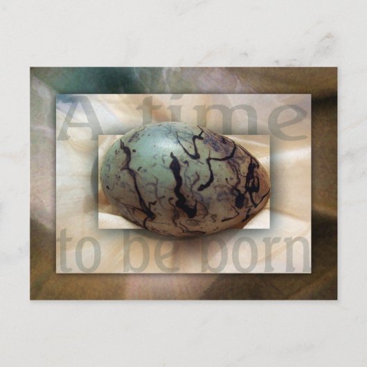 Carte Postale Bébé garçon (Devant)