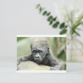 CARTE POSTALE BÉBÉ GORILLA RELAXANT (Debout devant)