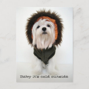 Carte Postale Bébé il fait froid dehors