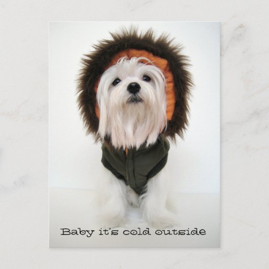 Carte Postale Bébé il fait froid dehors (Devant)