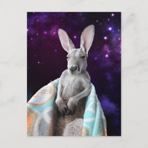 Carte Postale Bébé Kangaroo Dormir Dans L'Espace