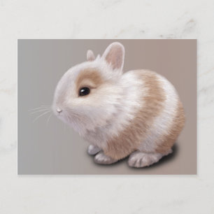 Carte Postale Bébé Lapin