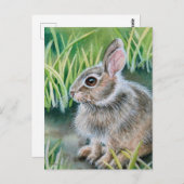 Carte Postale Bébé lapin de coton d'aquarelle lapin (Devant / Derrière)