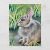 Carte Postale Bébé lapin de coton d'aquarelle lapin (Devant)
