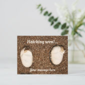 Carte Postale Bébé Learded Dragons Hatching! (Debout devant)