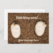 Carte Postale Bébé Learded Dragons Hatching! (Devant / Derrière)