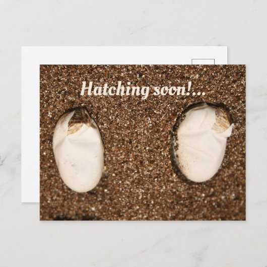 Carte Postale Bébé Learded Dragons Hatching! (Devant / Derrière)