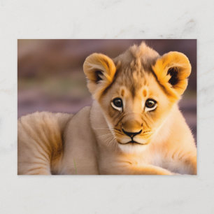 Carte Postale Bébé lion allongé dans l'herbe