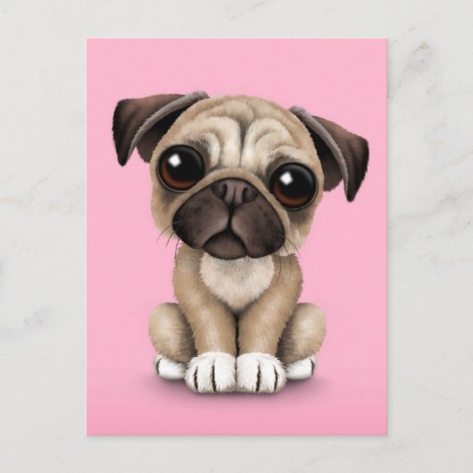Carte Postale Bébé mignon Carlin Chien chiot sur rose (Devant)