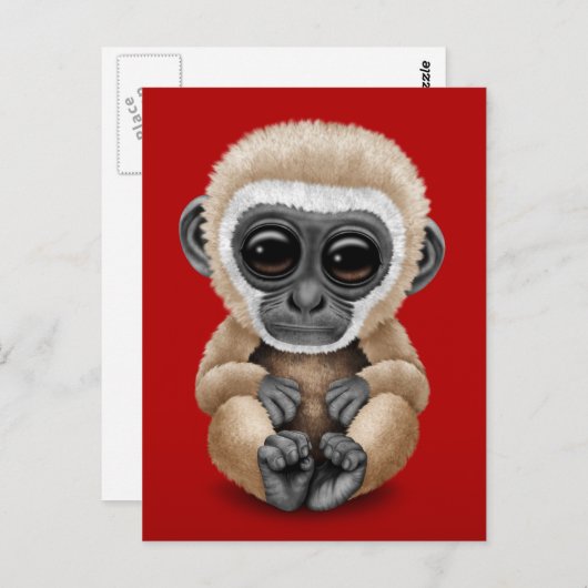 Carte Postale Bébé mignon et curieux Gibbon en rouge (Devant / Derrière)