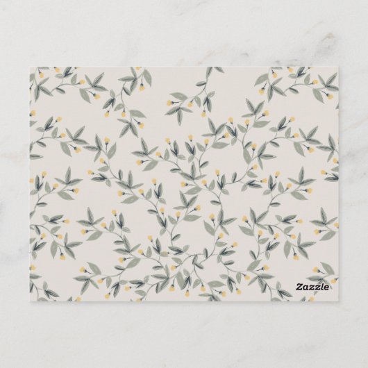 Carte Postale Bébé mignon Hippo Foliing N'importe quel âge Anniv (Dos)