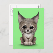 Carte Postale Bébé mignon Lynx Cub sur vert (Devant / Derrière)