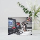 Carte Postale Bébé mignon MickeyElvis 1 (Debout devant)