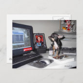 Carte Postale Bébé mignon MickeyElvis 1 (Devant / Derrière)