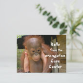 Carte Postale Bébé mignon Orangutan Orphan (Debout devant)