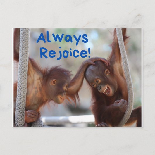 Carte Postale Bébé mignon Orangutan toujours se réjouir (Devant)