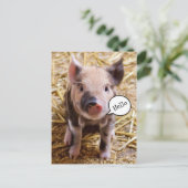 Carte Postale Bébé mignon porc dire Bonjour (Debout devant)