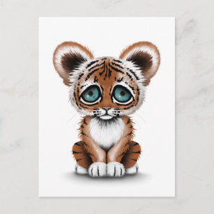 Carte Postale Bébé mignon tigre avec yeux bleus sur blanc
