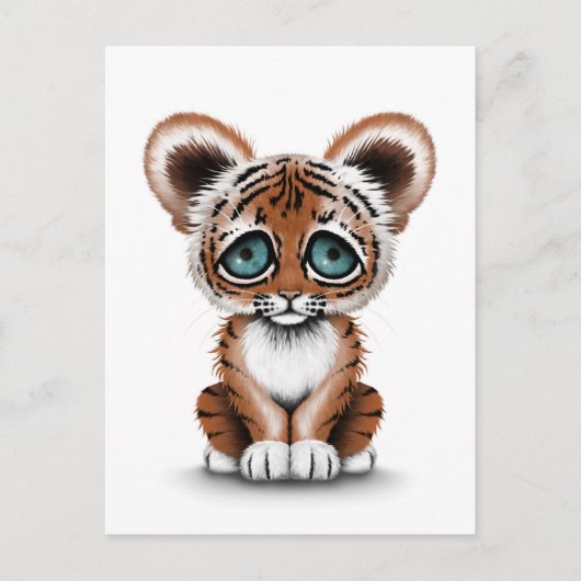 Carte Postale Bébé mignon tigre avec yeux bleus sur blanc (Devant)