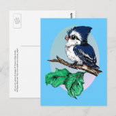 Carte postale Bébé mignonne Bluejay (Devant / Derrière)